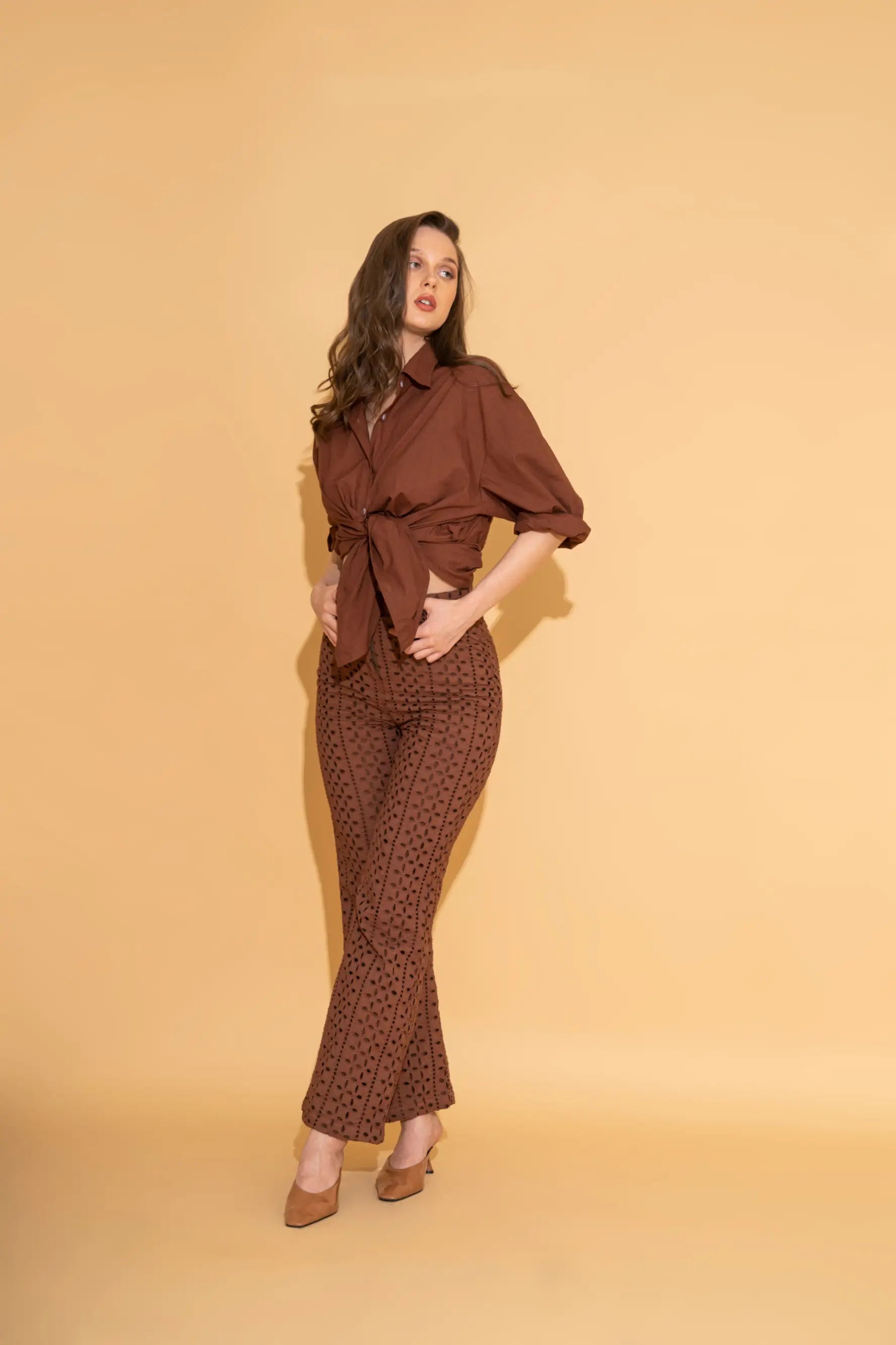 Price Drop Price Drop Rust Schiffli Pants